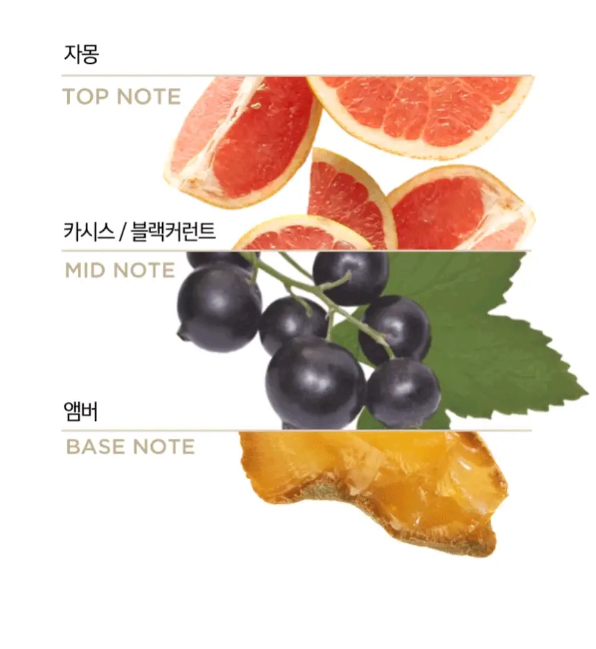 [단품]팬틴 극손상 케어 샴푸/컨디셔너 단품 750mL 상세페이지 6
